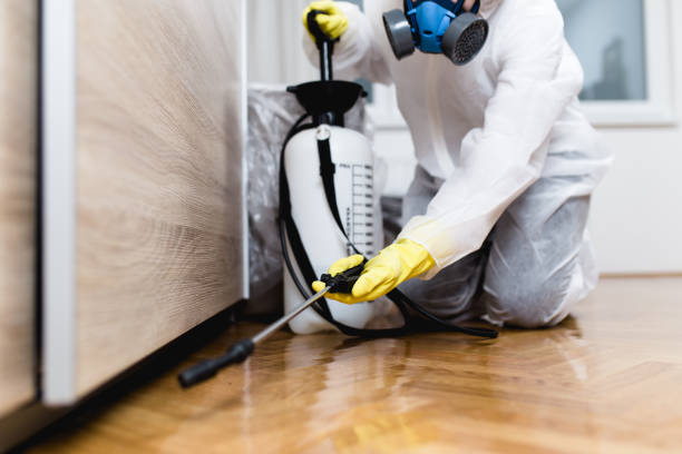 Best Affordable Pest Control Services  in New Market, VA