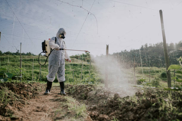 Best Local Pest Control Services  in New Market, VA