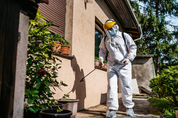 Best Pest Removal Services  in New Market, VA