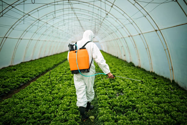 Best Emergency Pest Control  in New Market, VA