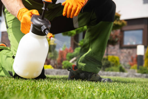 Best Best Pest Control Companies  in New Market, VA