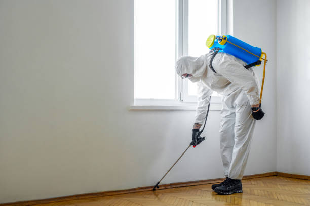 New Market, VA Pest Control Company