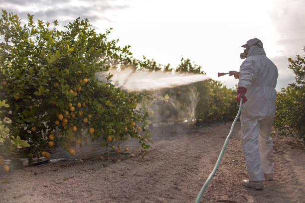 Pest Control for Restaurants in New Market, VA