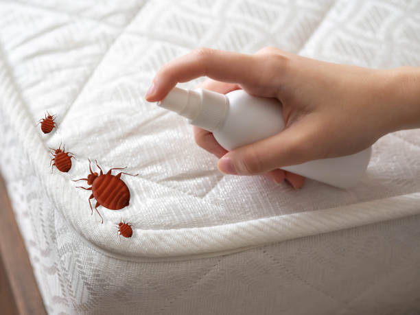 Best Wildlife Control Services  in New Market, VA